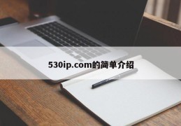 530ip.com的简单介绍